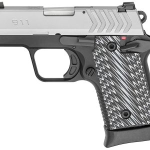 Springfield 911 380 ACP Stainless Gear Up Package with 5 Magazines and Notebook Gun Case - Firearms | Losranchos Gun Shop